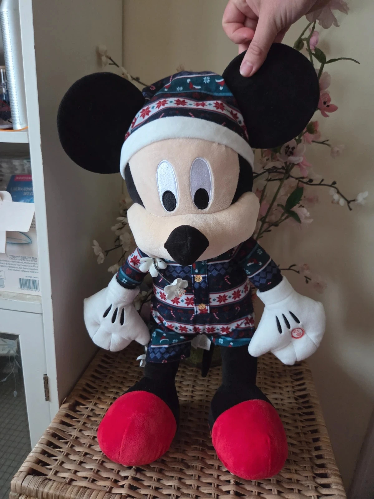 ❤️Grote Mickey – photo 2